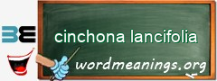 WordMeaning blackboard for cinchona lancifolia
